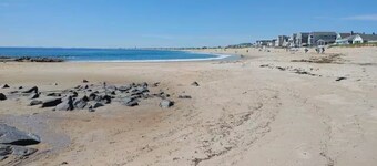 Reno'd 7-bedroom getaway steps from Hampton harbor 5 min walk to Seabrook Beach!