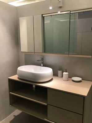 Shower, towels, toilet paper
