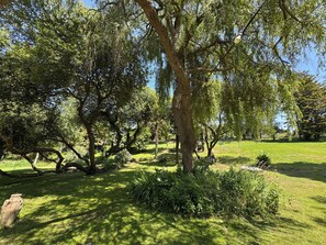 Boendeområde
