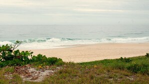 Una spiaggia con onde, una riva sabbiosa e un po' di vegetazione sullo sfondo.