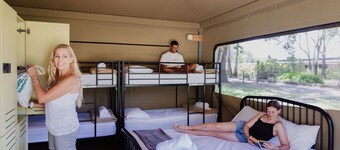 Habitat Noosa Everglades Ecocamp