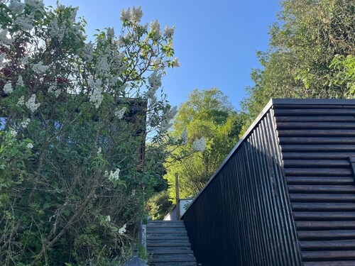 Ferienhaus mit schönem Garten nahe Loreley und Mittelrheintal