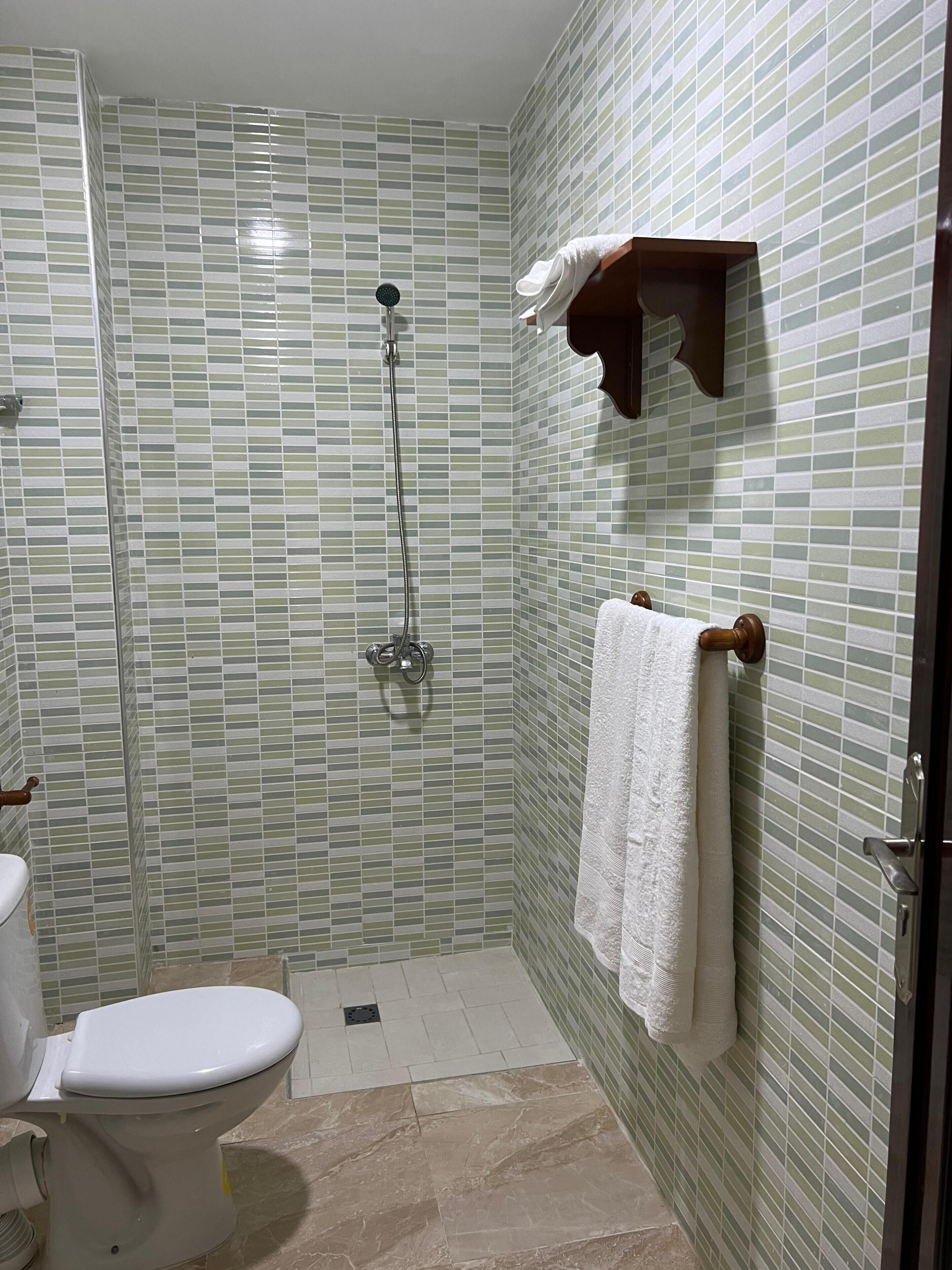 シャワー、ジェットバス、ビデ、タオル