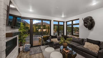 TV, fireplace, stereo