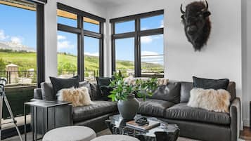 TV, fireplace, stereo