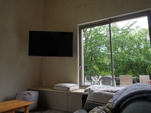 Smart-tv, eldstad, dvd-spelare och böcker