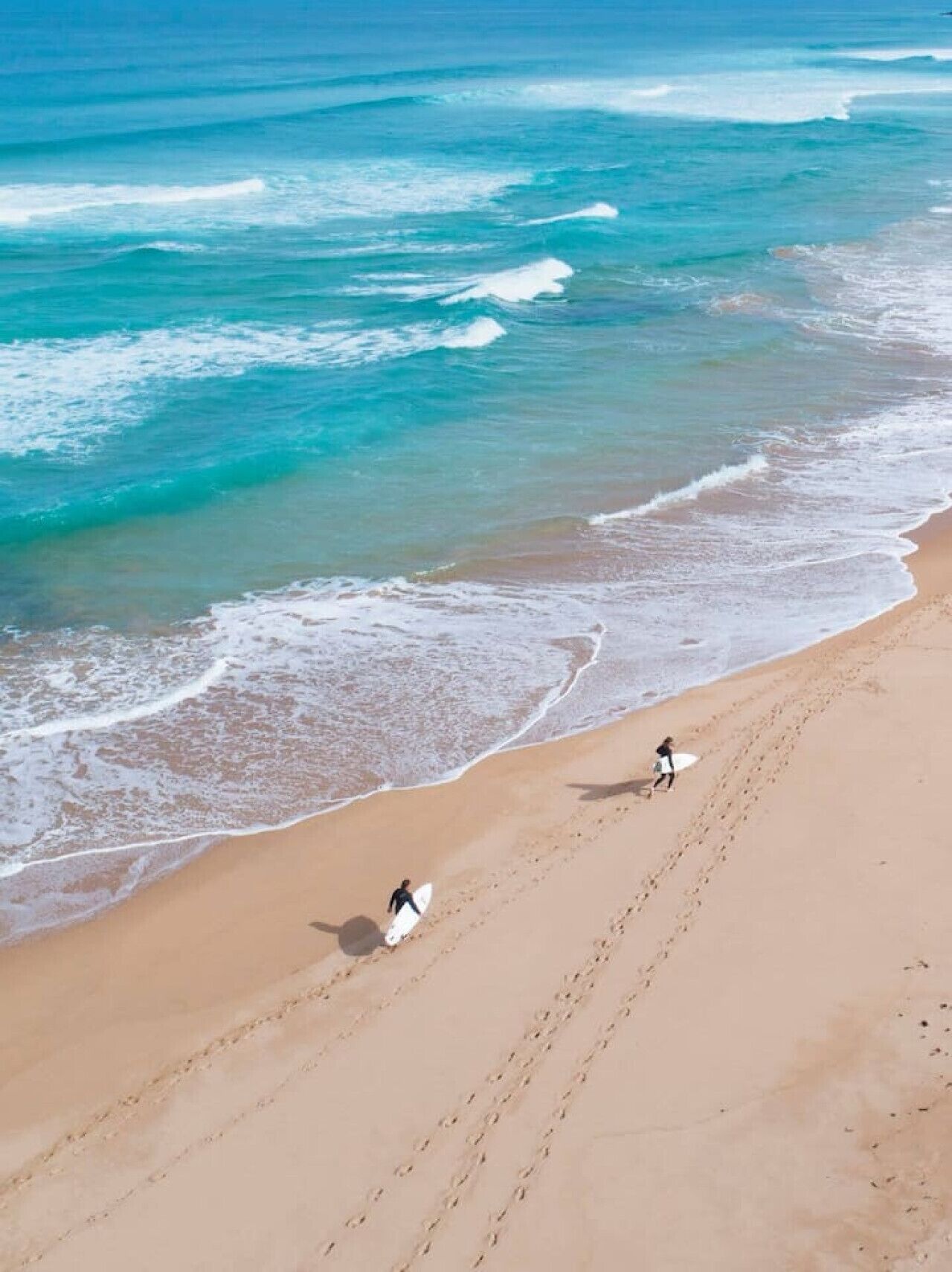 Spend the day along Knights Beach where rolling waves, golden sand, and open coastline create the perfect setting for surfing, long walks, and salty ocean air.