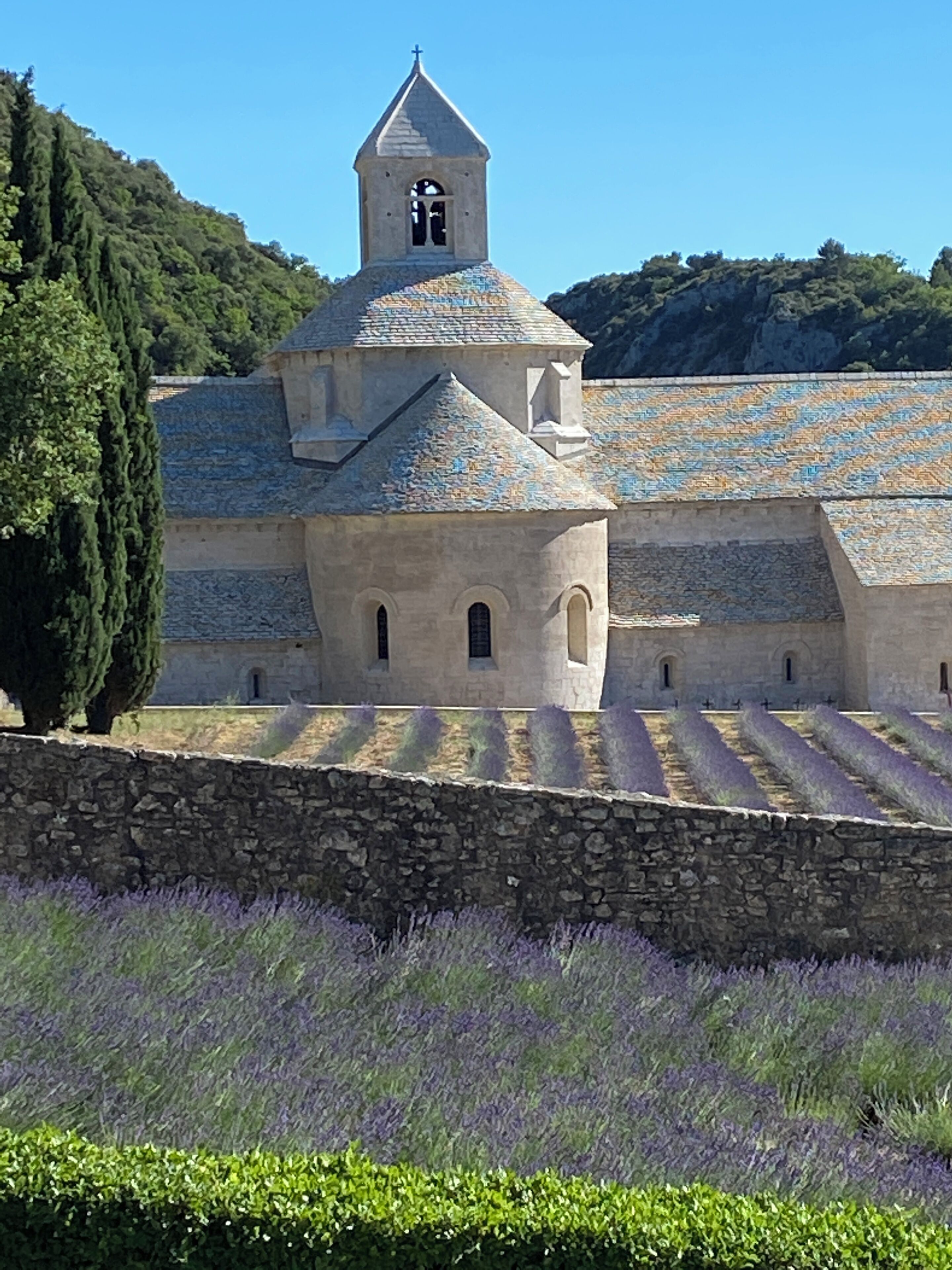 A historic building with a tower, stone walls, and a vineyard in the foreground.