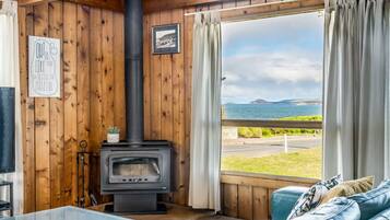 TV, fireplace, ping pong