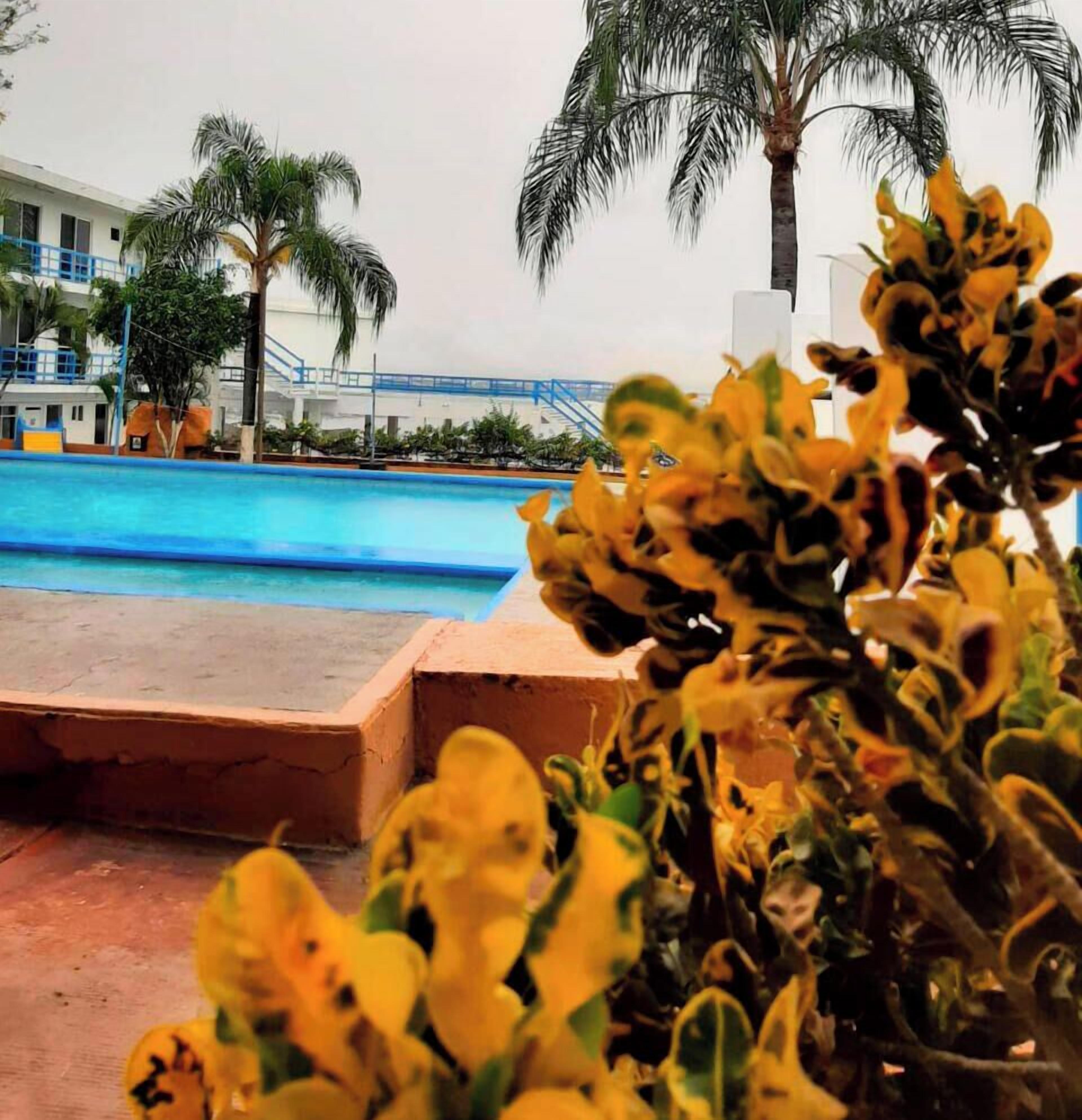 Una piscina con palmeras y un edificio al fondo.