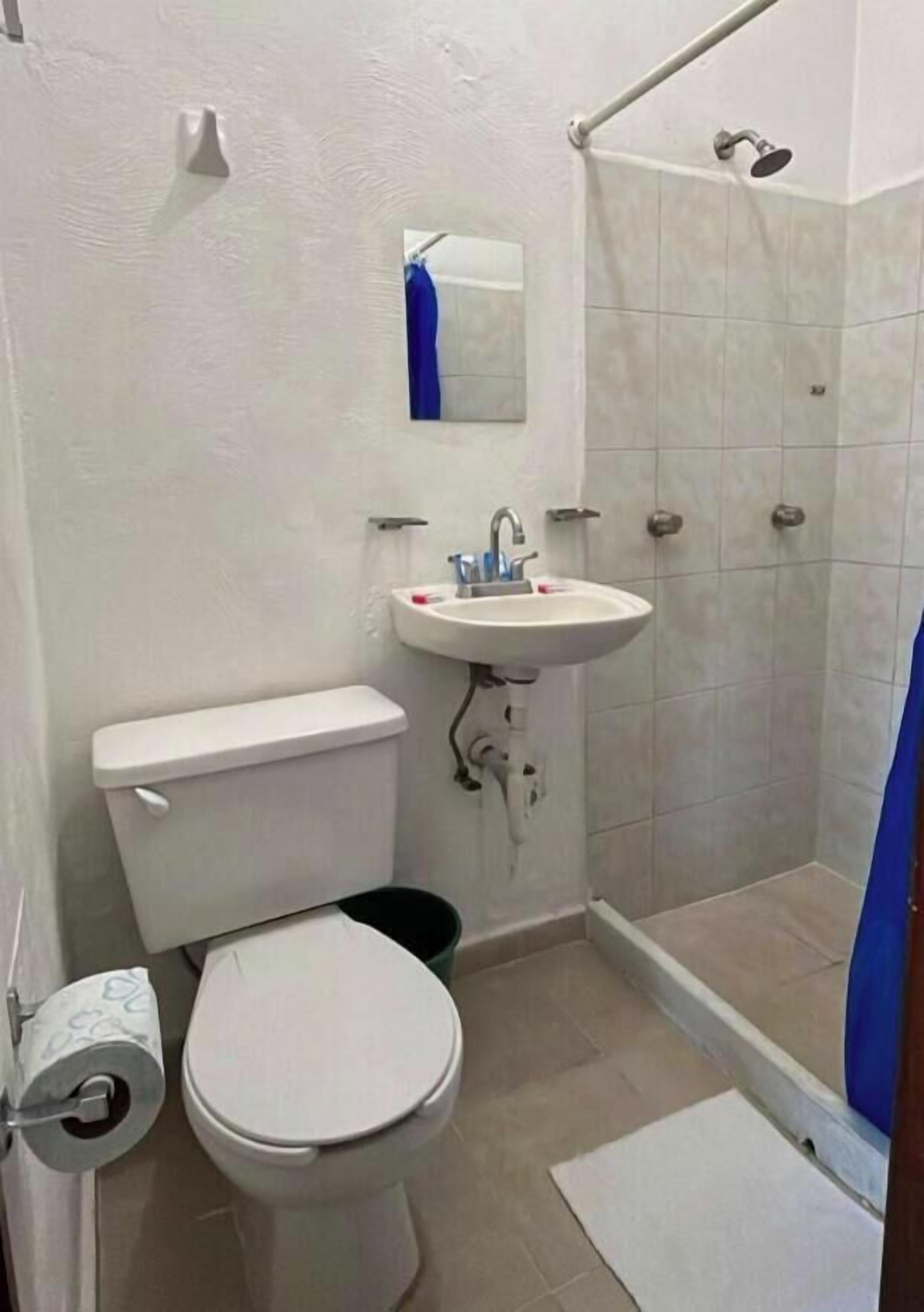 A bathroom with a toilet, sink, and shower.