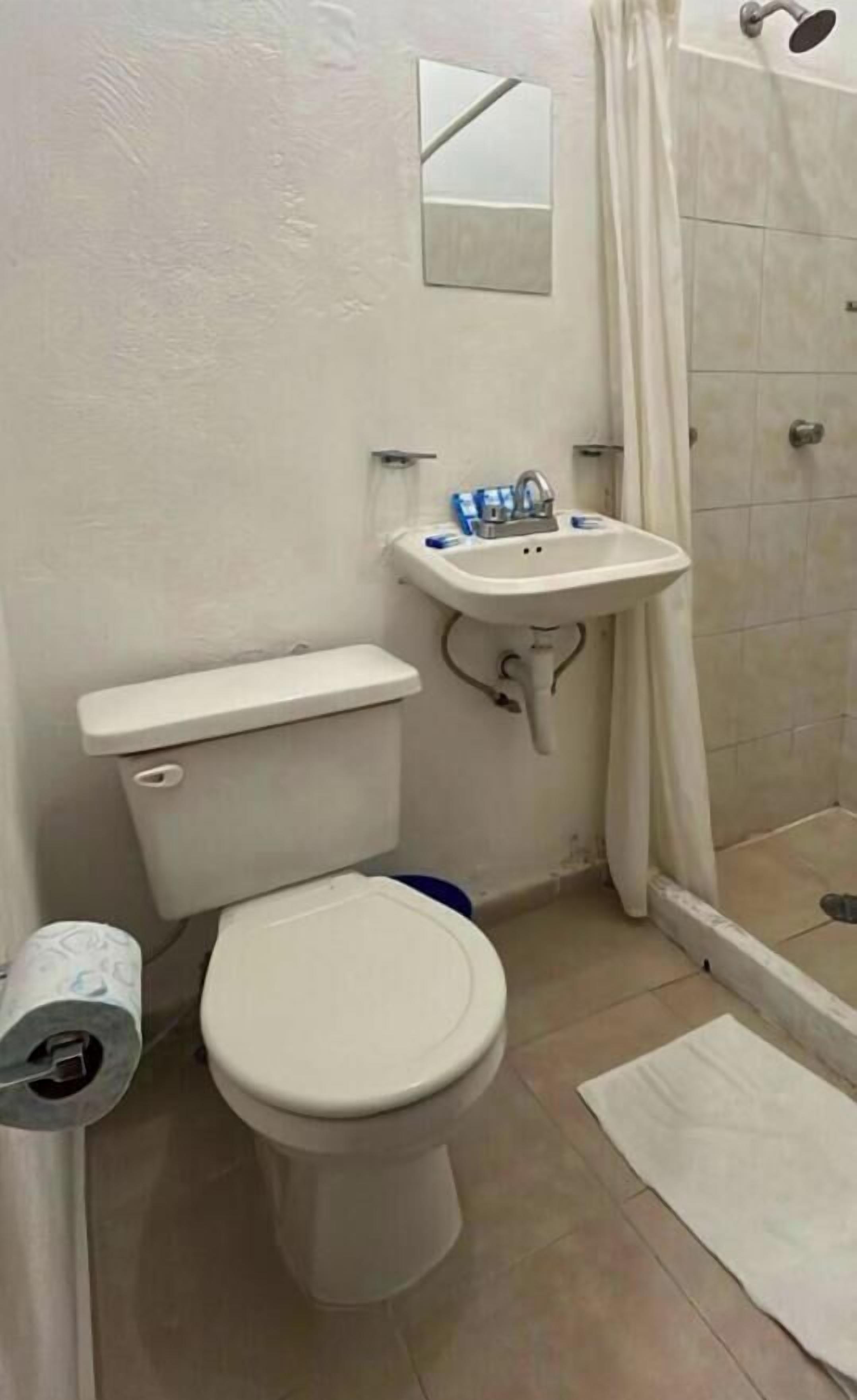 Baño con inodoro, lavabo y cabina de ducha.
