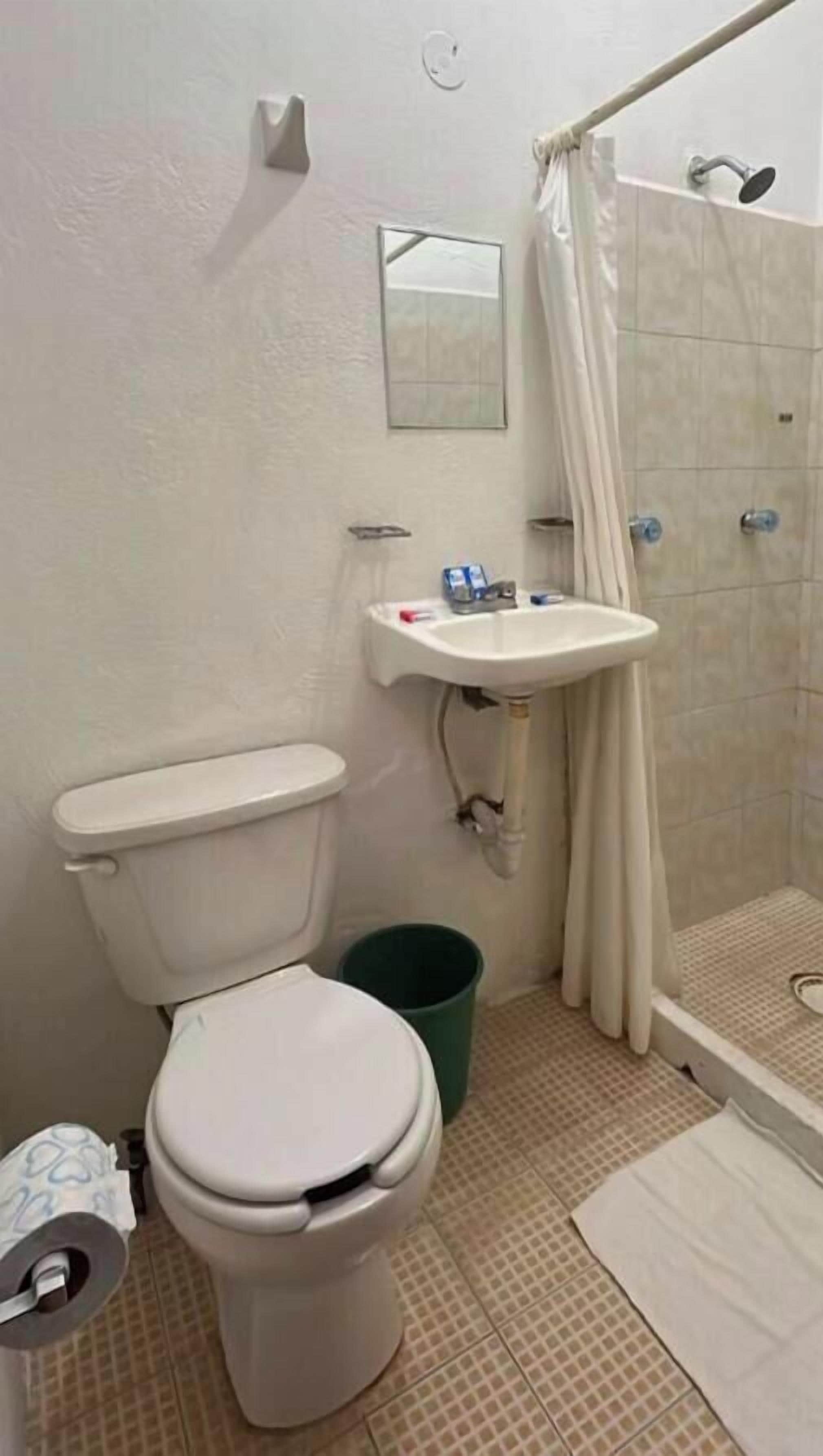Un baño con inodoro, lavamanos y ducha.