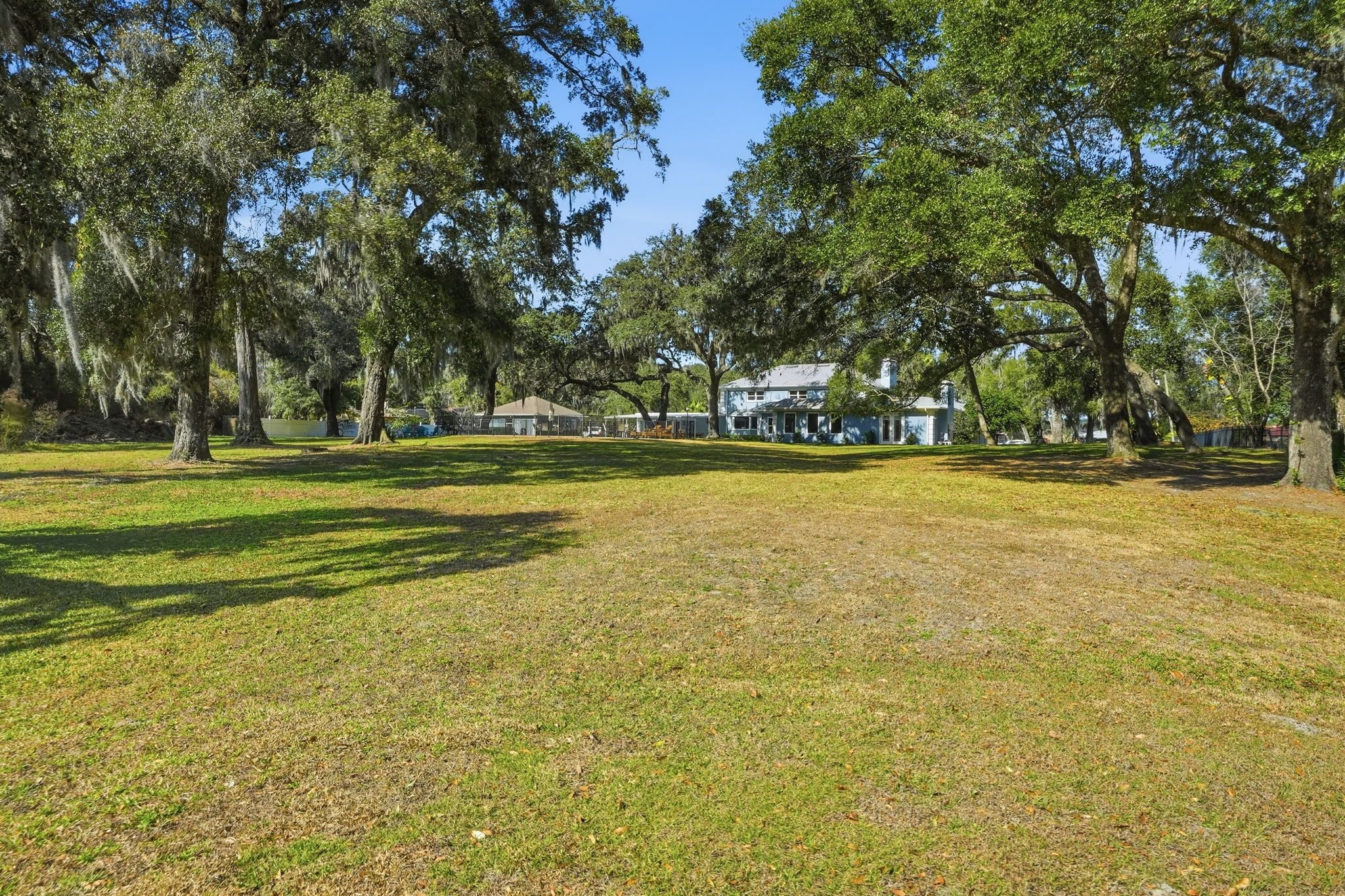 A grassy area with trees and a building in the background.