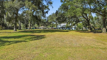 A grassy area with trees and a building in the background.