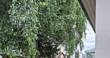 Charming house with large garden 3 minutes from Switzerland