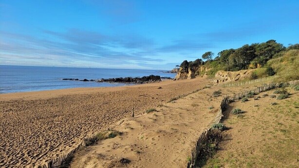 A sandy beach with a wooden fence, rocky outcrops, and sparse vegetation.