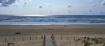 SAVANNAH - La maison des pins