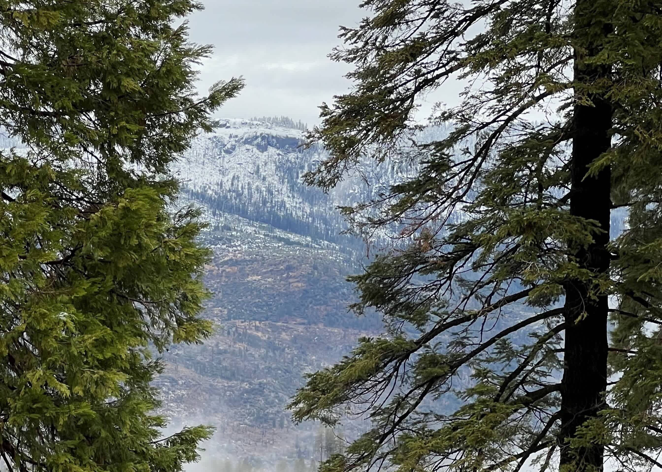A mountain landscape with snow-covered peaks and dense forest.