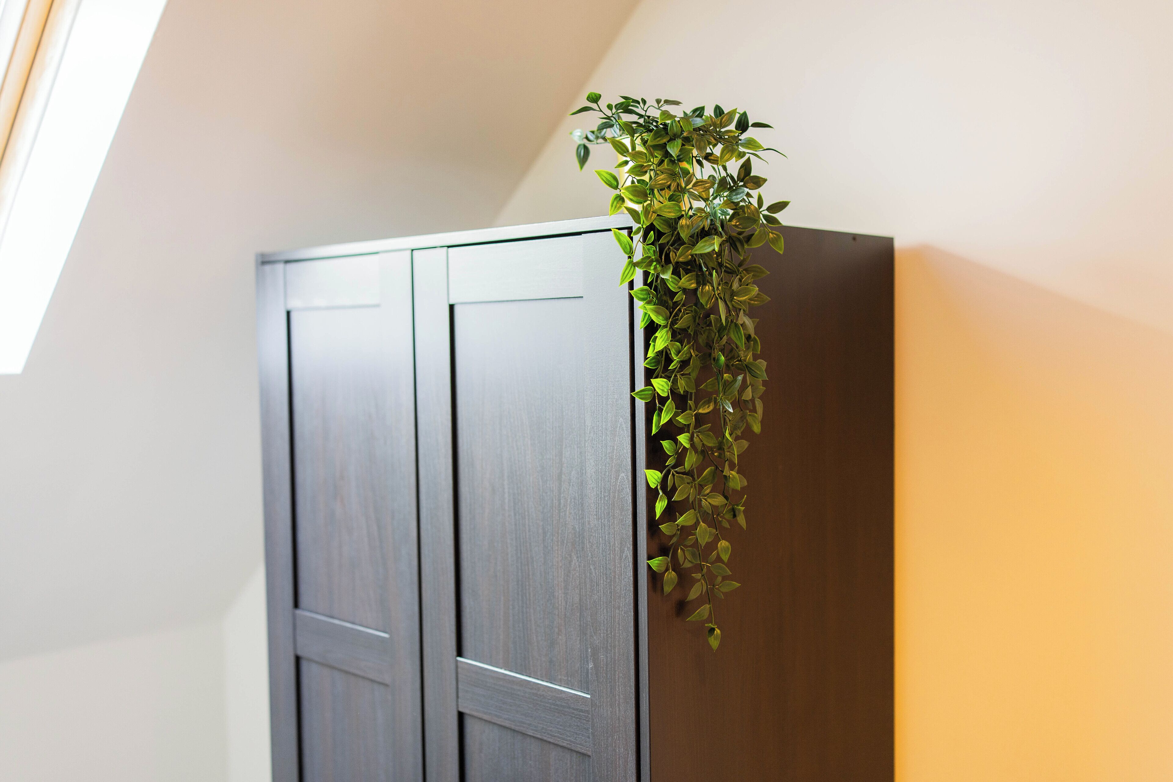 A room with a dark wooden wardrobe and a hanging plant.