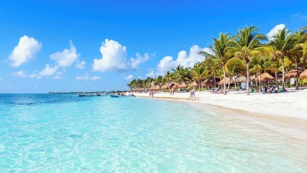 Een strand met helder turquoise water, wit zand en palmbomen.