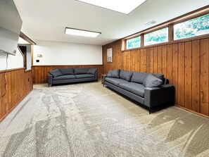 Smart-TV, Kamin