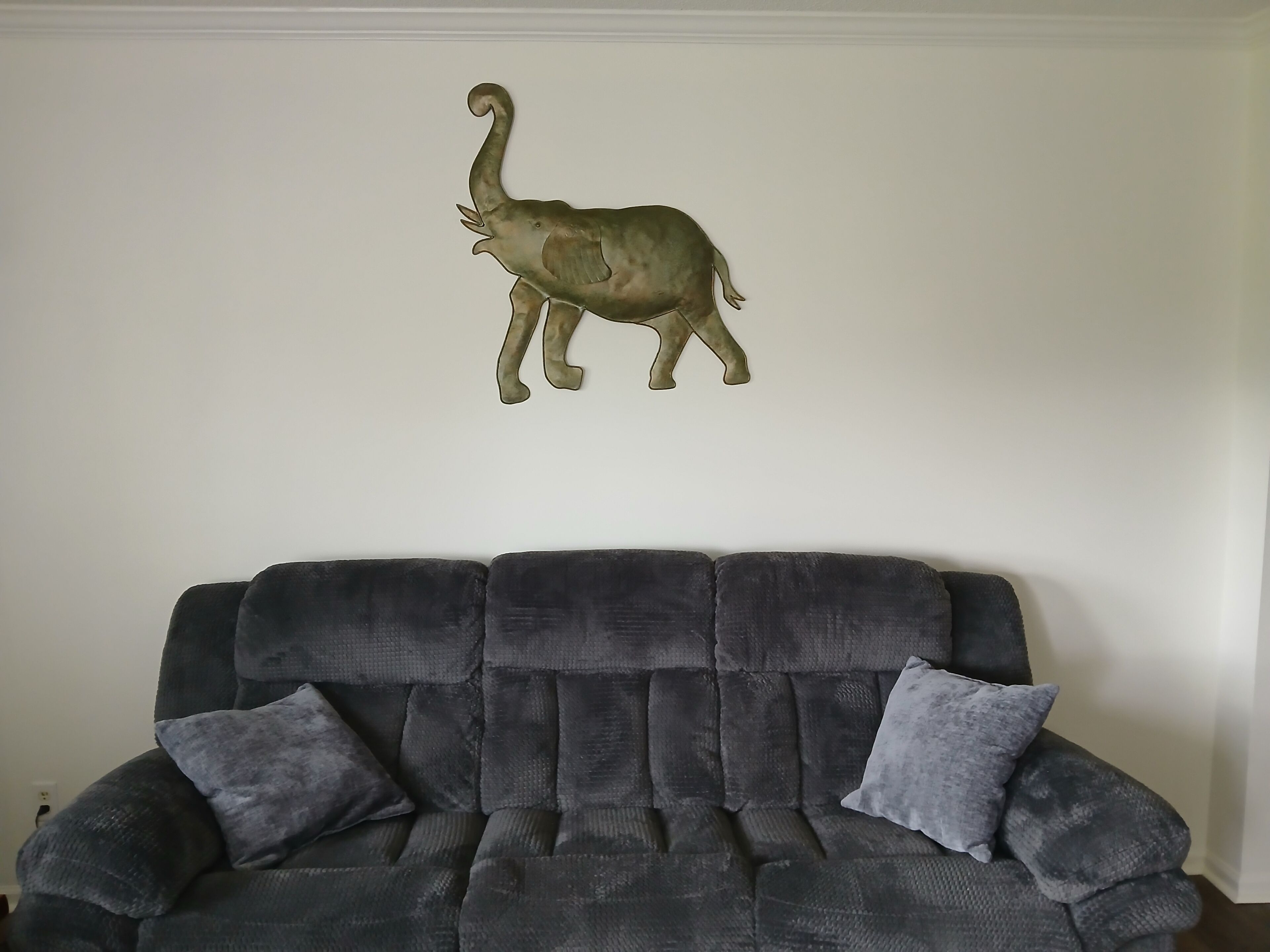 Smart TV, DVD player, books, video library