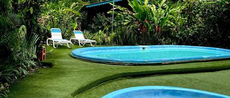 Un área de piscina con dos piscinas azules, rodeada de exuberante vegetación y una pequeña estructura con techo azul.
