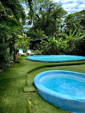 A pool area with two blue pools, surrounded by lush greenery and a small structure with a blue roof.