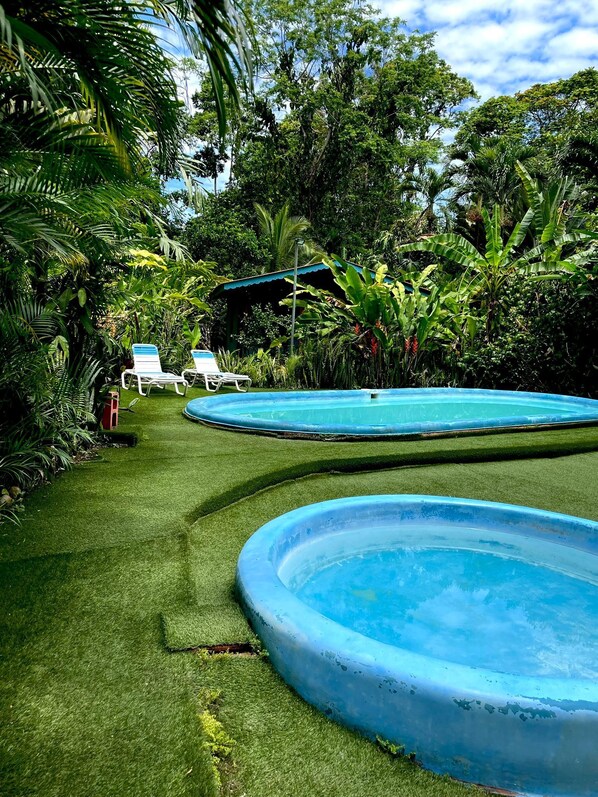 Un espace piscine comprenant deux piscines bleues, entouré d’une végétation luxuriante et agrémenté d’une petite construction surmontée d’un toit bleu.
