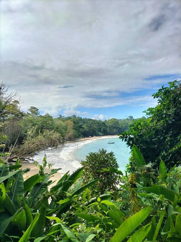 A beach with clear water, surrounded by dense greenery and trees.