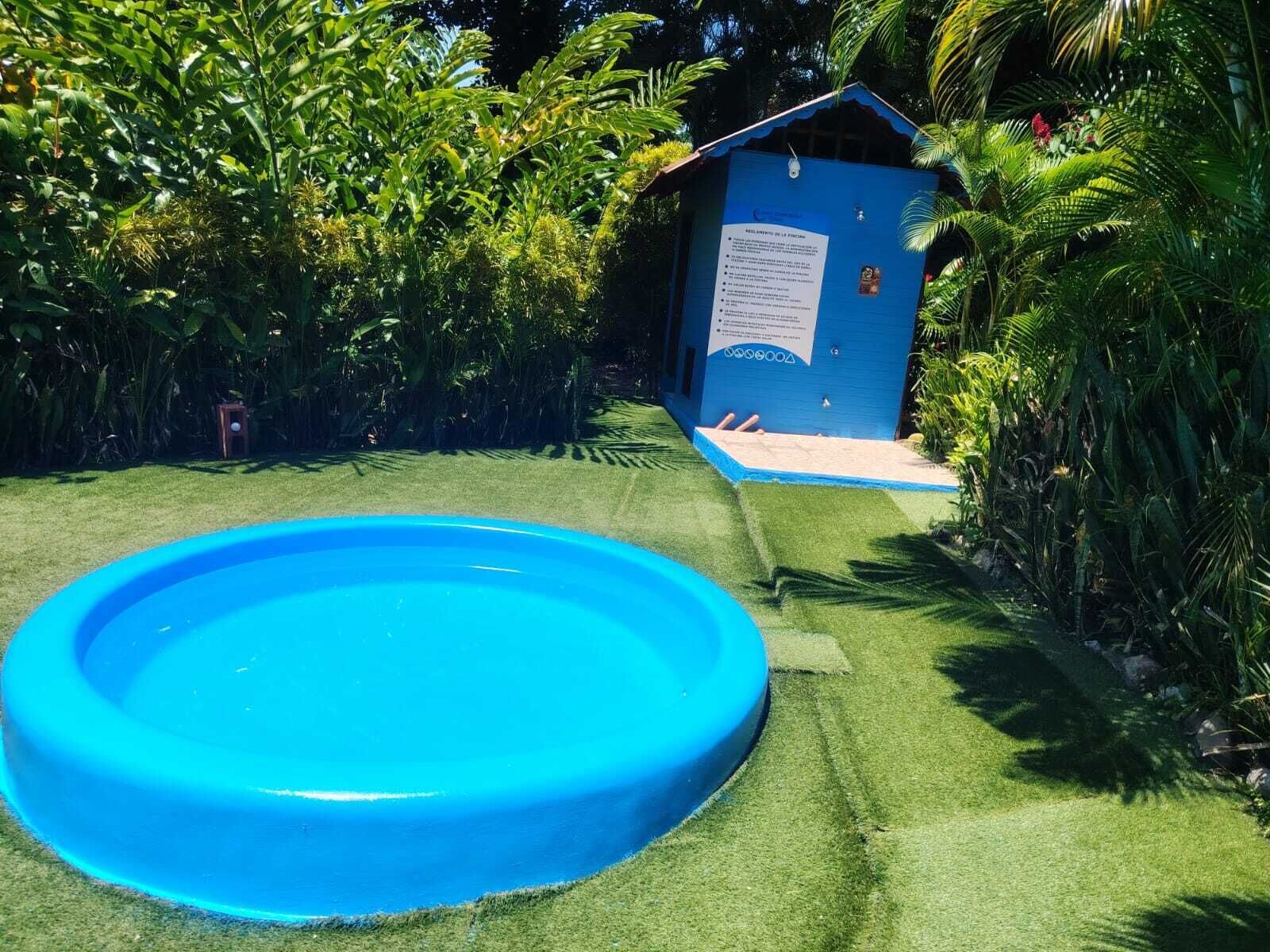 A blue inflatable pool surrounded by lush greenery and a small blue shed with a sign.