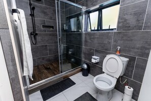 Shower, hair dryer, towels, toilet paper