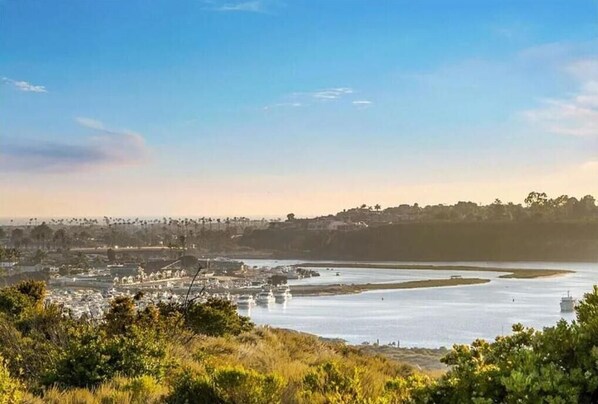 Miscellaneous - Exquisite Panoramic View Estate (Newport Beach)