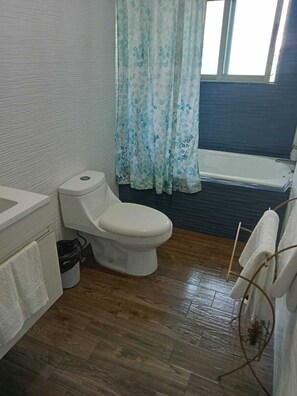 Shower, towels, soap, toilet paper
