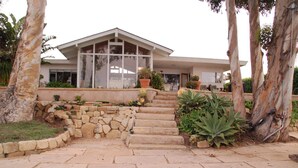 Una casa moderna con una escalera de piedra que conduce a una puerta principal, rodeada de árboles grandes y plantas en macetas.