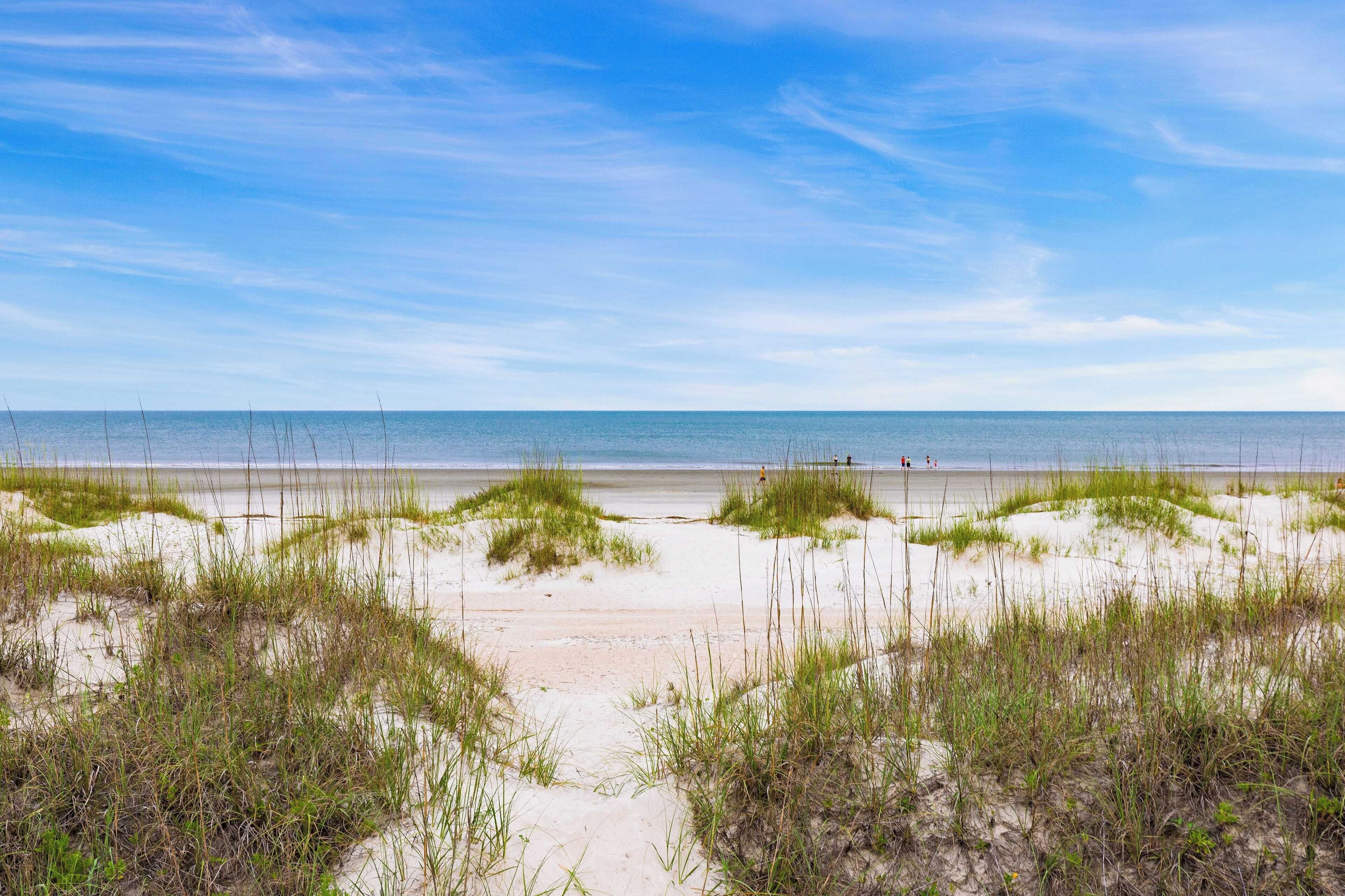 A beach with sand dunes and sparse vegetation.