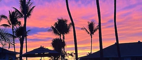 حمّام سباحة خارجي