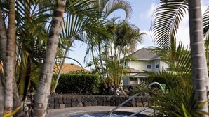 A hot tub surrounded by palm trees and a stone wall, with a house in the background.