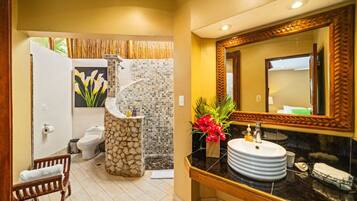 Regadera, secadora de cabello, toallas, jabón