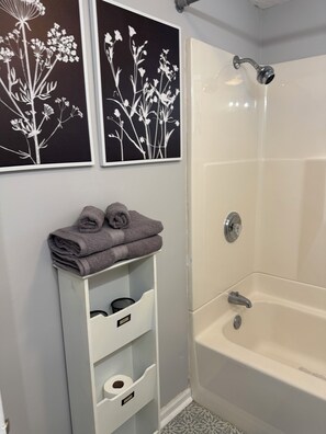Douche, sèche-cheveux, serviettes fournies, papier toilette