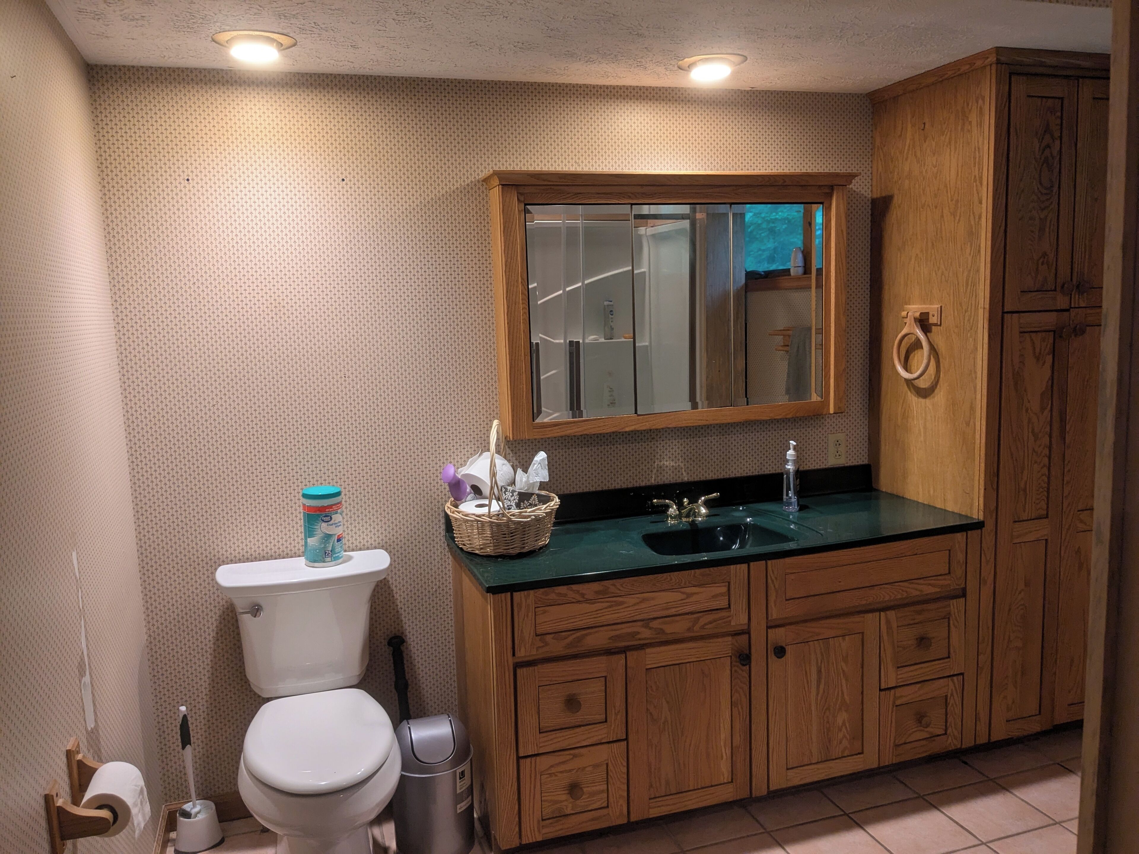 Une salle de bain avec des toilettes, un lavabo et des meubles en bois.