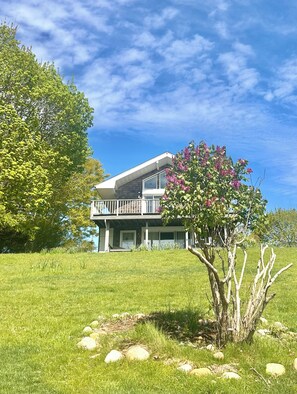 Udendørsområde