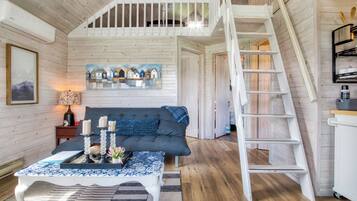 Smart TV, fireplace, DVD player, books