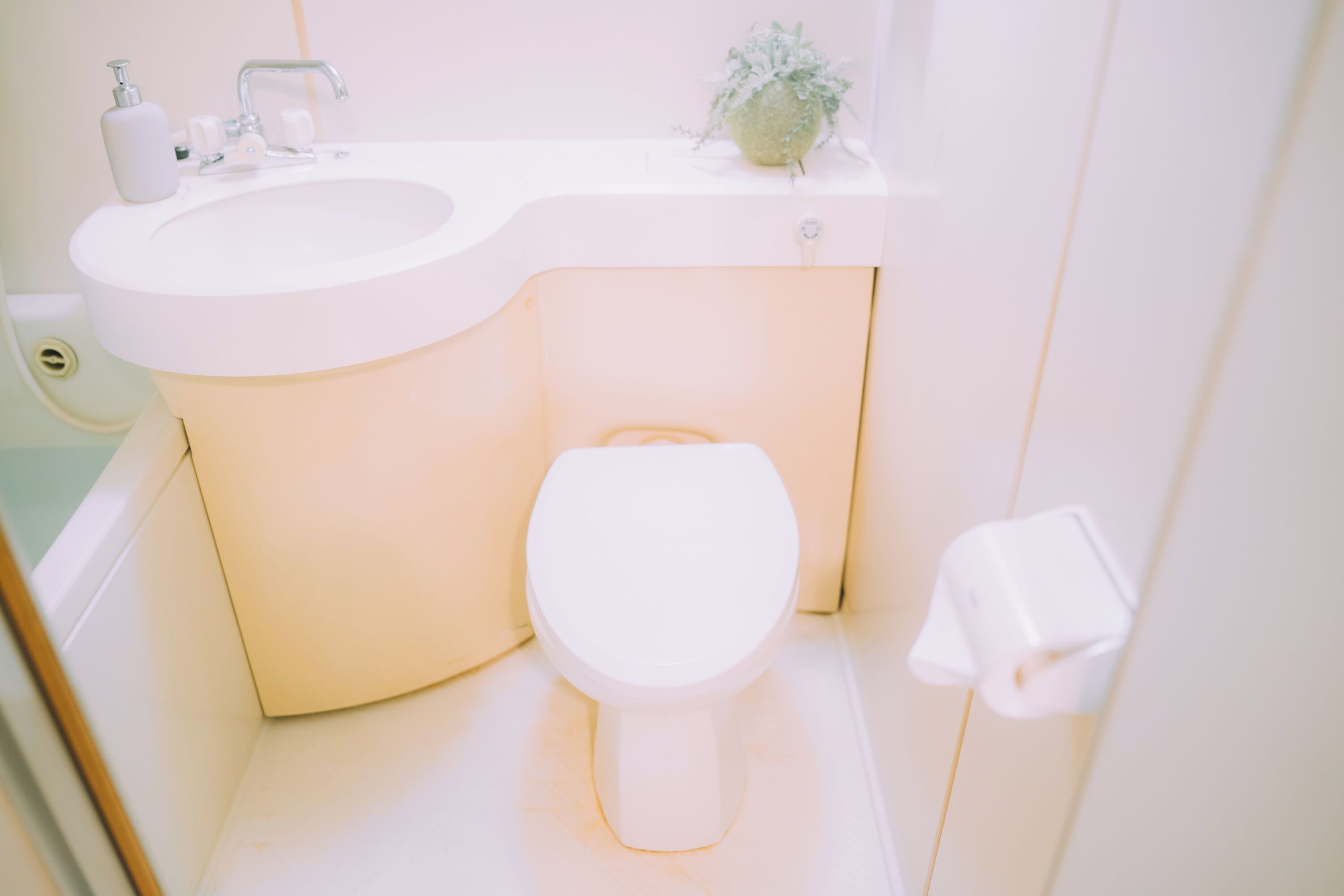 A white bathroom with a sink, toilet, and a small potted plant on the countertop.