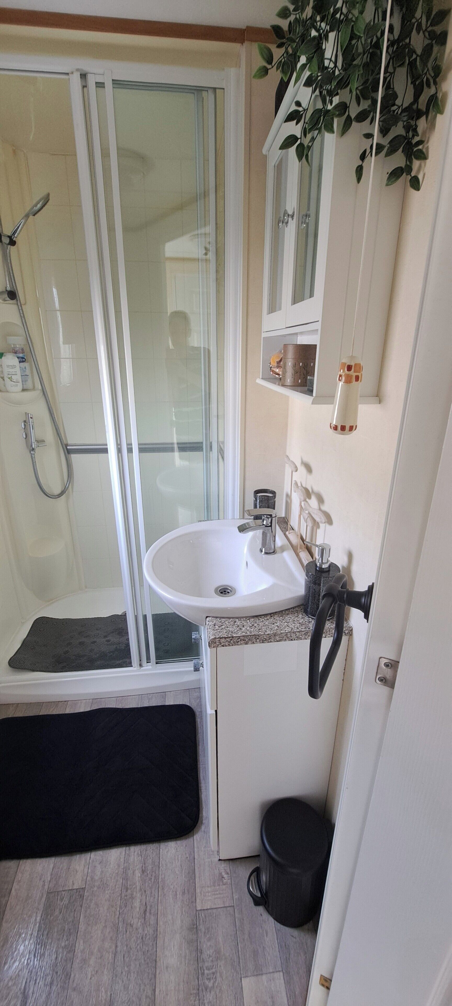 Shower, hair dryer