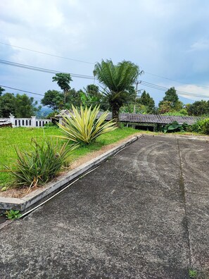 A paved area with a concrete border, a palm tree, and a building with a tiled roof.