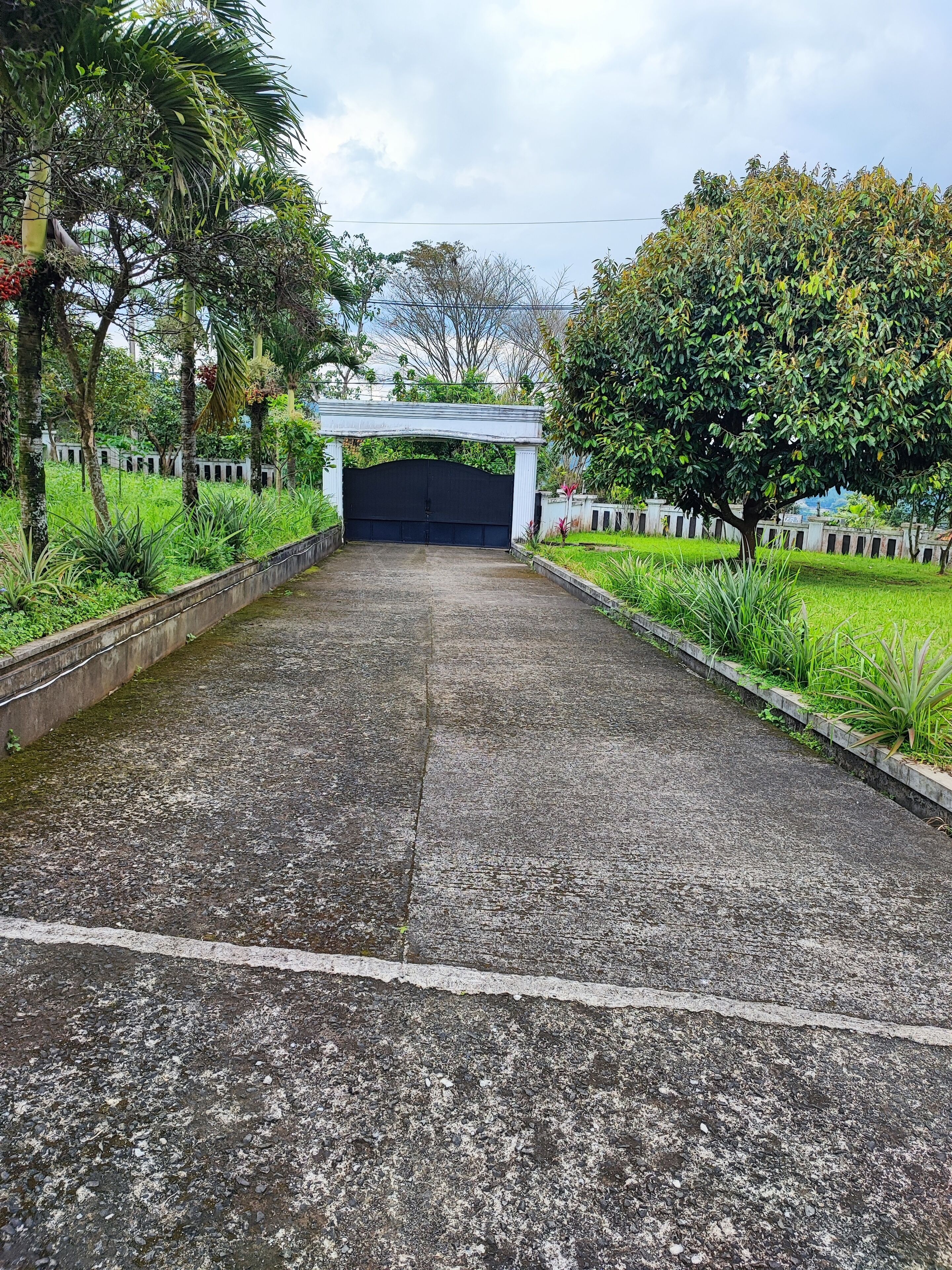 A paved pathway leading to a gated entrance with a white archway, surrounded by lush greenery and trees.