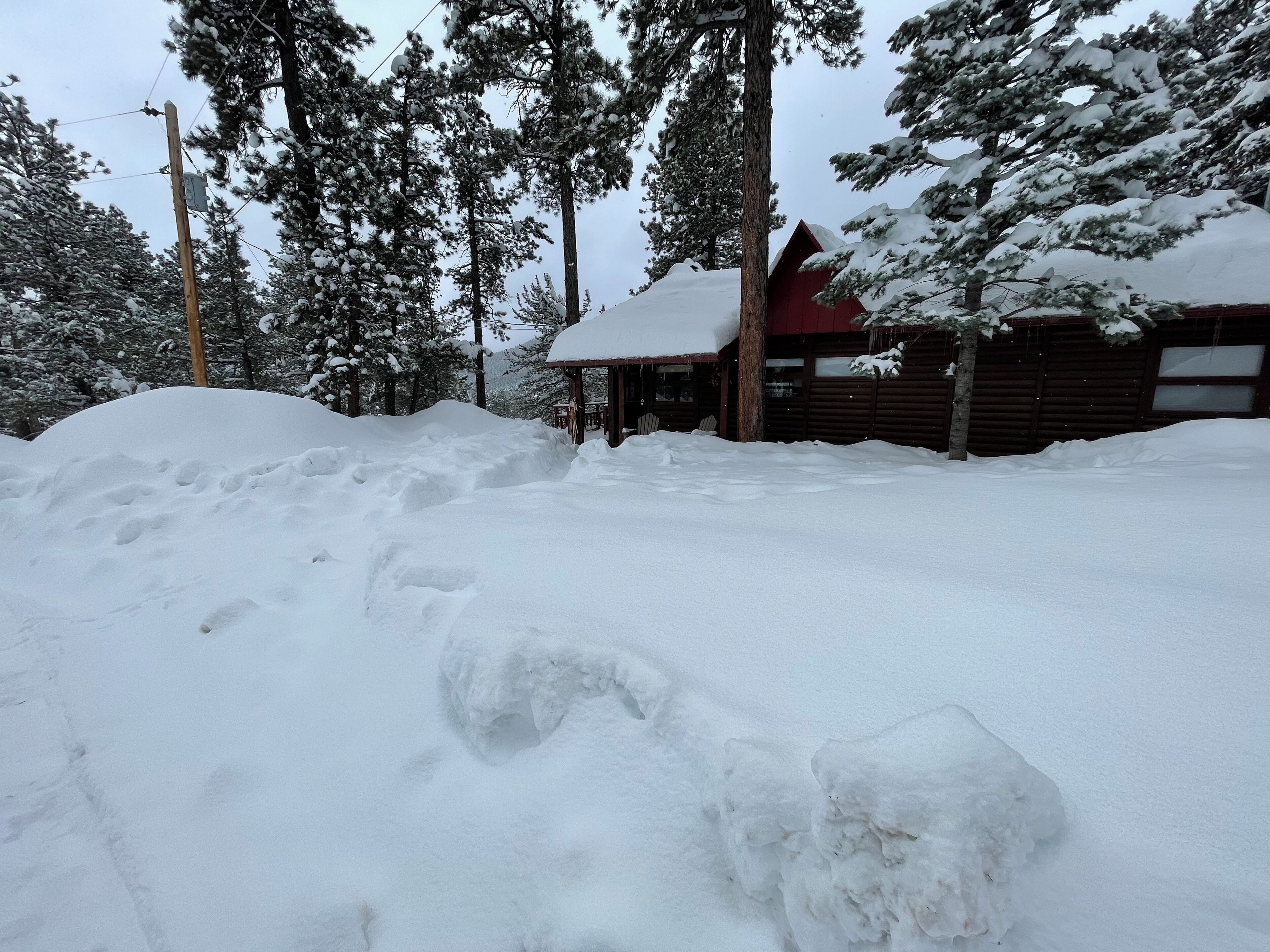 Une cabane entourée d’arbres couverts de neige.