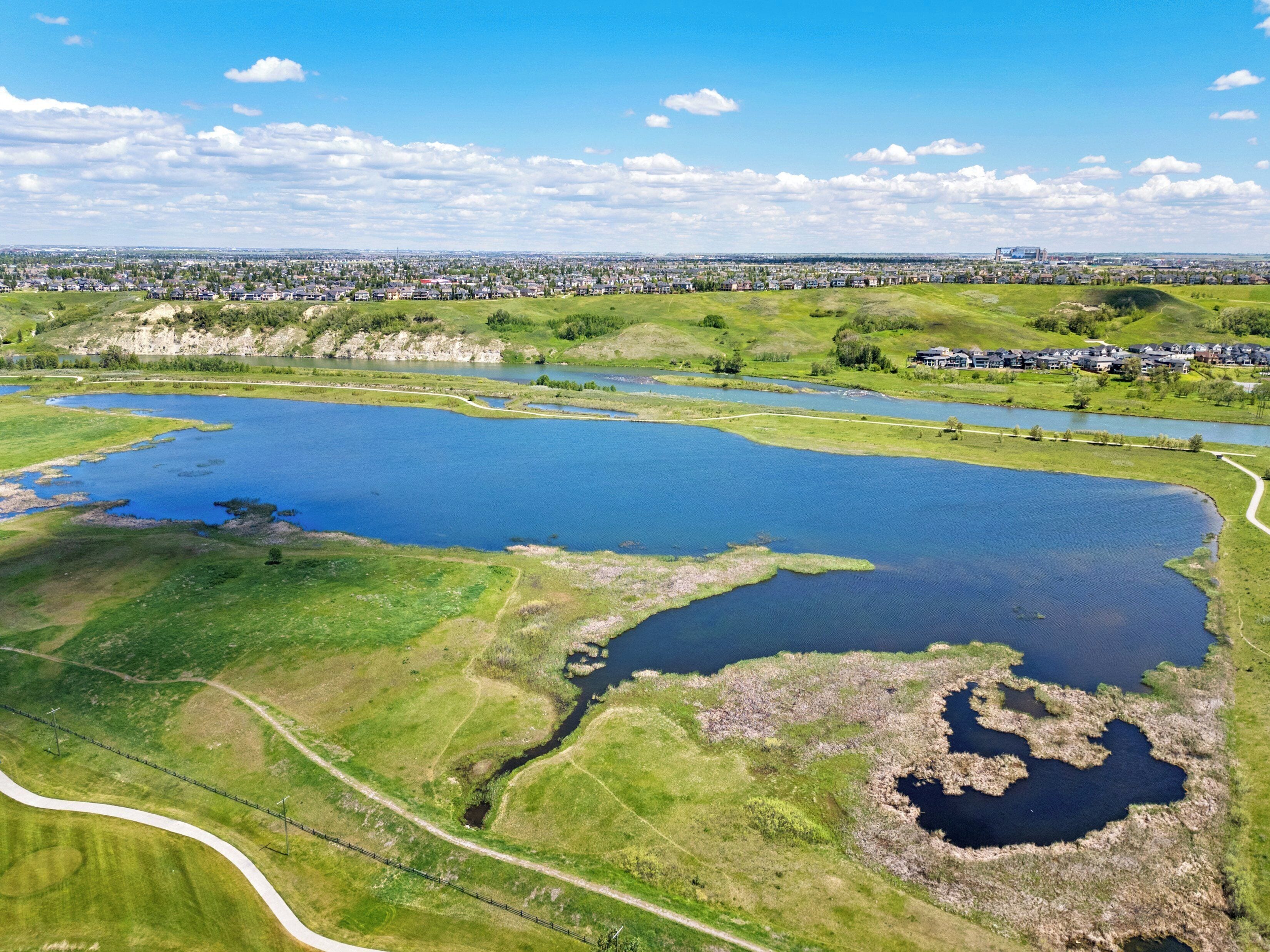An aerial view of a large pond surrounded by green fields and a residential area in the background.